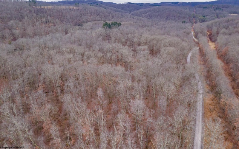 TBD Wirsing Wiley Road, Bruceton Mills, West Virginia 26525, ,Lots/land,For Sale,Wirsing Wiley,10163180