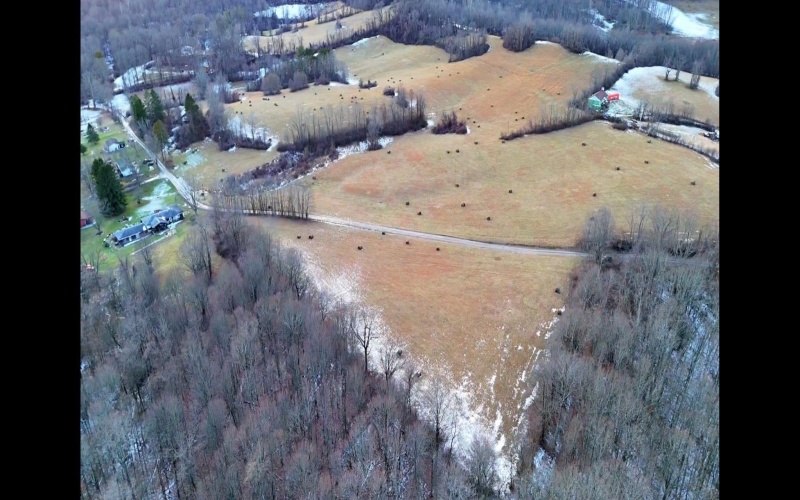 47 Acres Harter Hill Road, Worthington, West Virginia 26591, ,Lots/land,For Sale,Harter Hill,10163187 47 Acres Harter Hill Road, Worthington, West Virginia 26591, ,Lots/land,For Sale,Harter Hill,10163187