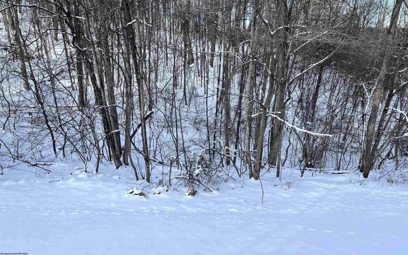 104 Silver Maple Lane, Buckhannon, West Virginia 26201-0000, 3 Bedrooms Bedrooms, 6 Rooms Rooms,2 BathroomsBathrooms,Single Family Detached,For Sale,Silver Maple,10163200 104 Silver Maple Lane, Buckhannon, West Virginia 26201-0000, 3 Bedrooms Bedrooms, 6 Rooms Rooms,2 BathroomsBathrooms,Single Family Detached,For Sale,Silver Maple,10163200