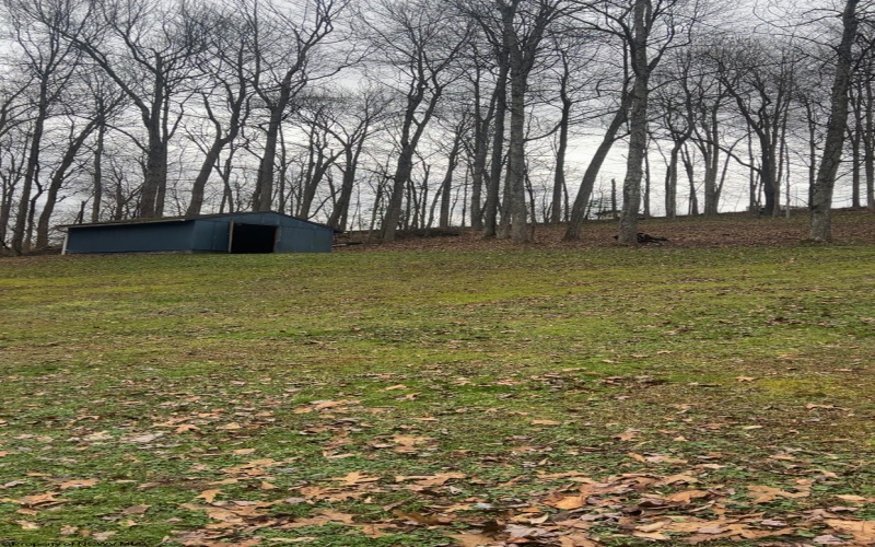 104 Silver Maple Lane, Buckhannon, West Virginia 26201-0000, 3 Bedrooms Bedrooms, 6 Rooms Rooms,2 BathroomsBathrooms,Single Family Detached,For Sale,Silver Maple,10163200 104 Silver Maple Lane, Buckhannon, West Virginia 26201-0000, 3 Bedrooms Bedrooms, 6 Rooms Rooms,2 BathroomsBathrooms,Single Family Detached,For Sale,Silver Maple,10163200