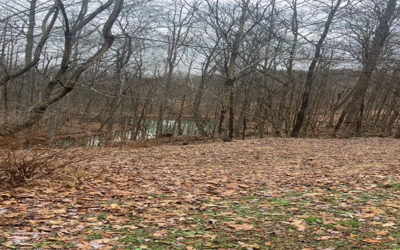 104 Silver Maple Lane, Buckhannon, West Virginia 26201-0000, 3 Bedrooms Bedrooms, 6 Rooms Rooms,2 BathroomsBathrooms,Single Family Detached,For Sale,Silver Maple,10163200 104 Silver Maple Lane, Buckhannon, West Virginia 26201-0000, 3 Bedrooms Bedrooms, 6 Rooms Rooms,2 BathroomsBathrooms,Single Family Detached,For Sale,Silver Maple,10163200