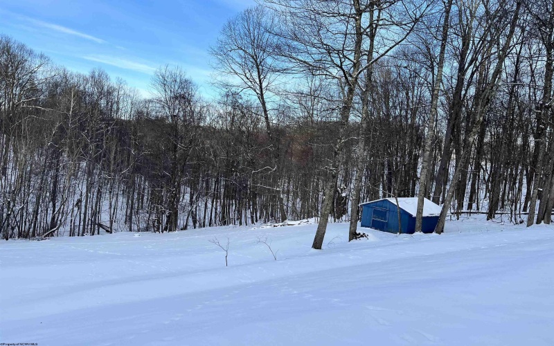 104 Silver Maple Lane, Buckhannon, West Virginia 26201-0000, 3 Bedrooms Bedrooms, 6 Rooms Rooms,2 BathroomsBathrooms,Single Family Detached,For Sale,Silver Maple,10163200