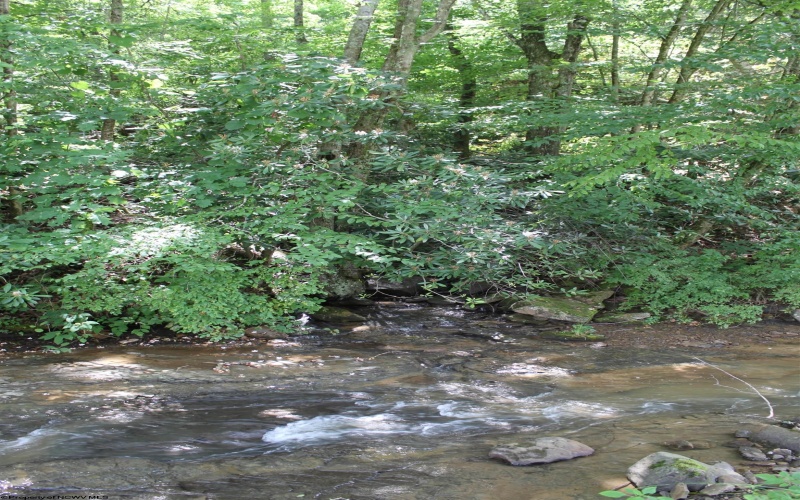 1506 Holly River Road, Webster Springs, West Virginia 26288, 3 Bedrooms Bedrooms, 11 Rooms Rooms,3 BathroomsBathrooms,Single Family Detached,For Sale,Holly River,10160503