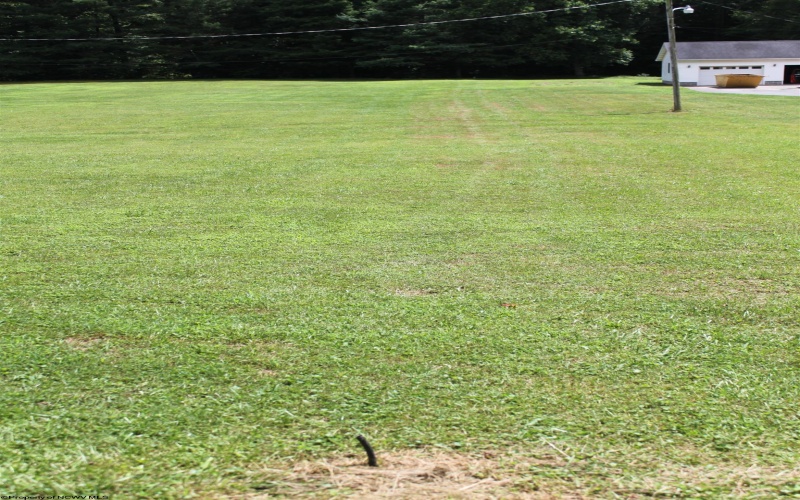 1506 Holly River Road, Webster Springs, West Virginia 26288, 3 Bedrooms Bedrooms, 11 Rooms Rooms,3 BathroomsBathrooms,Single Family Detached,For Sale,Holly River,10160503