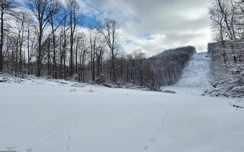 374 Country Mile Road, Kingwood, West Virginia 26537, 3 Bedrooms Bedrooms, 5 Rooms Rooms,1 BathroomBathrooms,Single Family Detached,For Sale,Country Mile,10163207