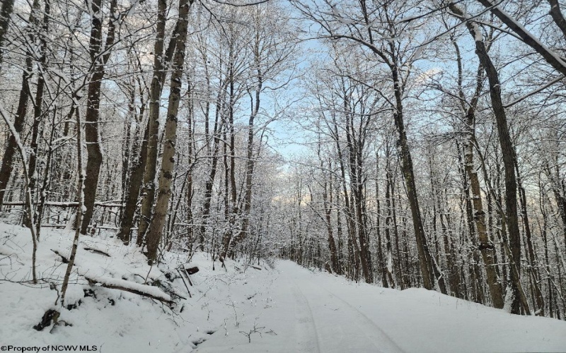 374 Country Mile Road, Kingwood, West Virginia 26537, 3 Bedrooms Bedrooms, 5 Rooms Rooms,1 BathroomBathrooms,Single Family Detached,For Sale,Country Mile,10163207