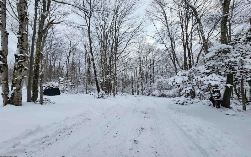 374 Country Mile Road, Kingwood, West Virginia 26537, 3 Bedrooms Bedrooms, 5 Rooms Rooms,1 BathroomBathrooms,Single Family Detached,For Sale,Country Mile,10163207