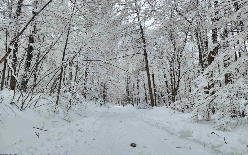 374 Country Mile Road, Kingwood, West Virginia 26537, 3 Bedrooms Bedrooms, 5 Rooms Rooms,1 BathroomBathrooms,Single Family Detached,For Sale,Country Mile,10163207