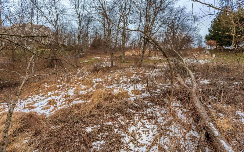 21 Garden Lane, Morgantown, West Virginia 26501, ,Lots/land,For Sale,Garden,10163210 21 Garden Lane, Morgantown, West Virginia 26501, ,Lots/land,For Sale,Garden,10163210