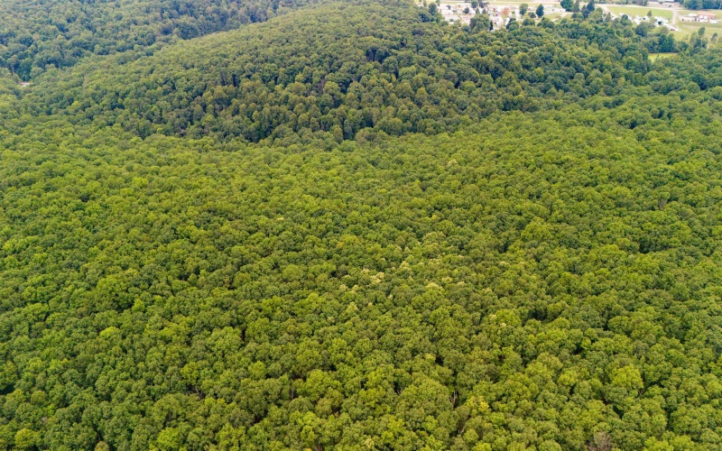 TBD Camp Mountaineer Road, Morgantown, West Virginia 26508, ,Lots/land,For Sale,Camp Mountaineer,10163217