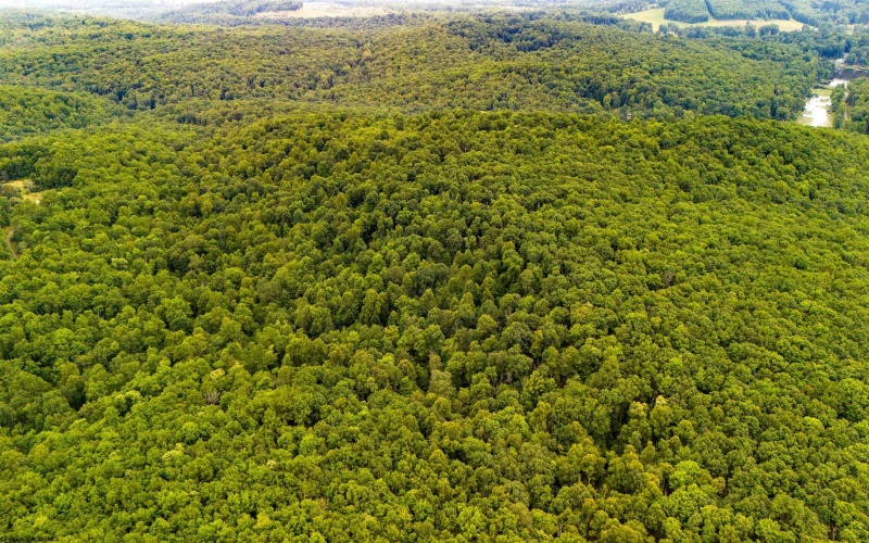 TBD Camp Mountaineer Road, Morgantown, West Virginia 26508, ,Lots/land,For Sale,Camp Mountaineer,10163217