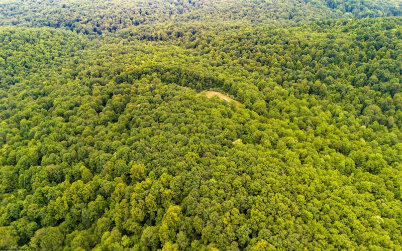 TBD Camp Mountaineer Road, Morgantown, West Virginia 26508, ,Lots/land,For Sale,Camp Mountaineer,10163217