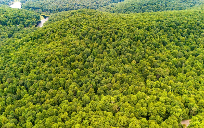 TBD Camp Mountaineer Road, Morgantown, West Virginia 26508, ,Lots/land,For Sale,Camp Mountaineer,10163217