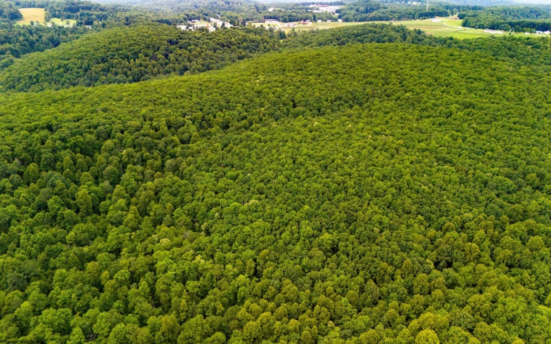 TBD Camp Mountaineer Road, Morgantown, West Virginia 26508, ,Lots/land,For Sale,Camp Mountaineer,10163217