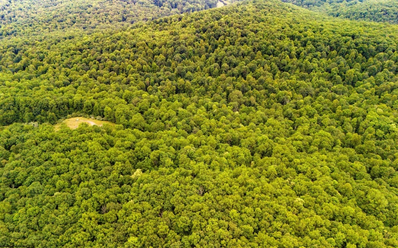 TBD Camp Mountaineer Road, Morgantown, West Virginia 26508, ,Lots/land,For Sale,Camp Mountaineer,10163217