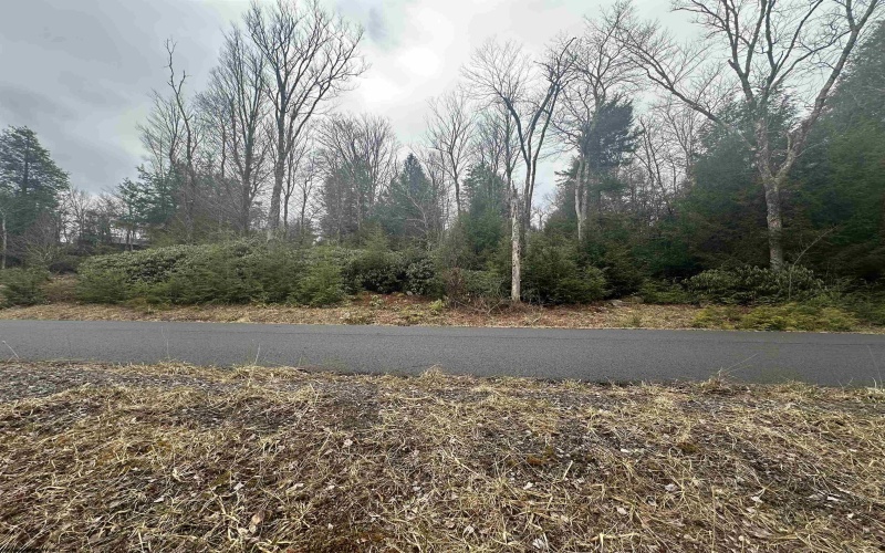 Lot 4 Medici Lane, Davis, West Virginia 26260, ,Lots/land,For Sale,Medici,10153531 Lot 4 Medici Lane, Davis, West Virginia 26260, ,Lots/land,For Sale,Medici,10153531