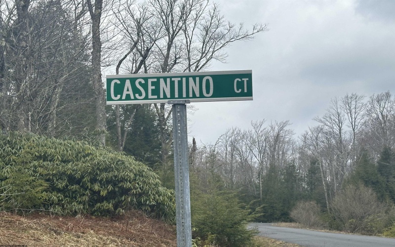 Lot 4 Medici Lane, Davis, West Virginia 26260, ,Lots/land,For Sale,Medici,10153531 Lot 4 Medici Lane, Davis, West Virginia 26260, ,Lots/land,For Sale,Medici,10153531