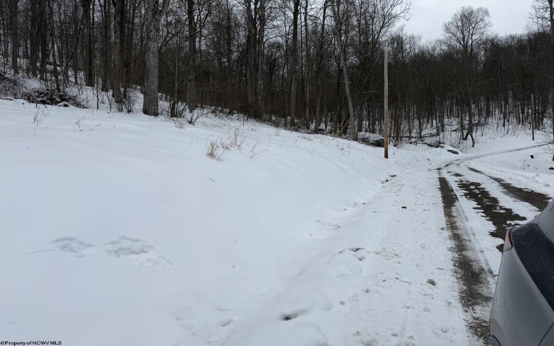 Lot 4 Trailwood Circle, Bruceton Mills, West Virginia 26525, ,Lots/land,For Sale,Trailwood,10163229