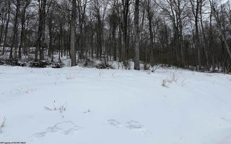 Lot 4 Trailwood Circle, Bruceton Mills, West Virginia 26525, ,Lots/land,For Sale,Trailwood,10163229