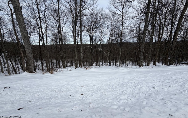 Lot 4 Trailwood Circle, Bruceton Mills, West Virginia 26525, ,Lots/land,For Sale,Trailwood,10163229