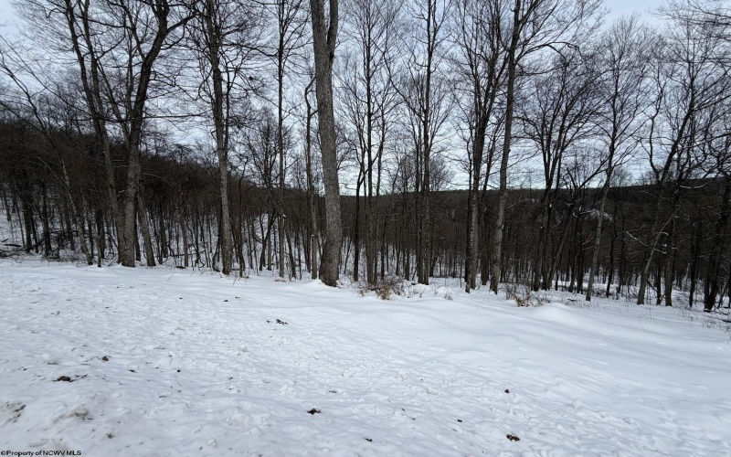 Lot 4 Trailwood Circle, Bruceton Mills, West Virginia 26525, ,Lots/land,For Sale,Trailwood,10163229