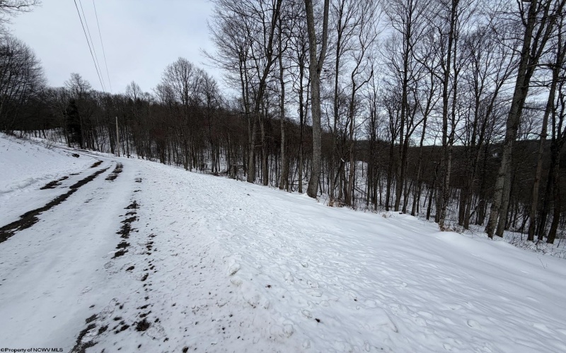 Lot 4 Trailwood Circle, Bruceton Mills, West Virginia 26525, ,Lots/land,For Sale,Trailwood,10163229