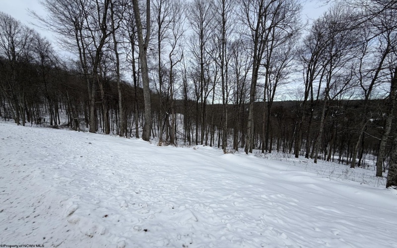 Lot 4 Trailwood Circle, Bruceton Mills, West Virginia 26525, ,Lots/land,For Sale,Trailwood,10163229