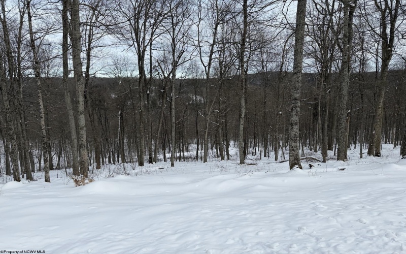 Lot 4 Trailwood Circle, Bruceton Mills, West Virginia 26525, ,Lots/land,For Sale,Trailwood,10163229