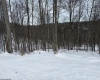 Lot 4 Trailwood Circle, Bruceton Mills, West Virginia 26525, ,Lots/land,For Sale,Trailwood,10163229