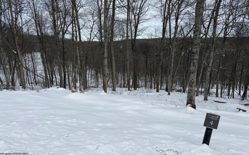 Lot 4 Trailwood Circle, Bruceton Mills, West Virginia 26525, ,Lots/land,For Sale,Trailwood,10163229