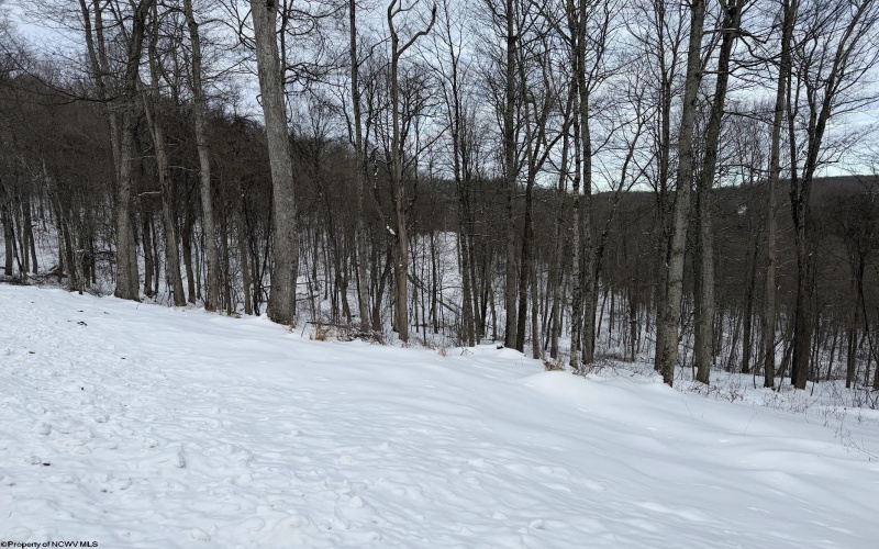 Lot 4 Trailwood Circle, Bruceton Mills, West Virginia 26525, ,Lots/land,For Sale,Trailwood,10163229