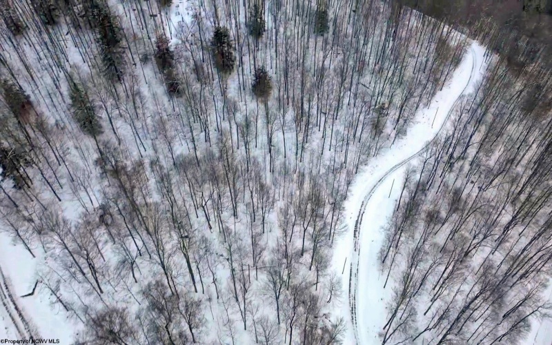 Lot 4 Trailwood Circle, Bruceton Mills, West Virginia 26525, ,Lots/land,For Sale,Trailwood,10163229