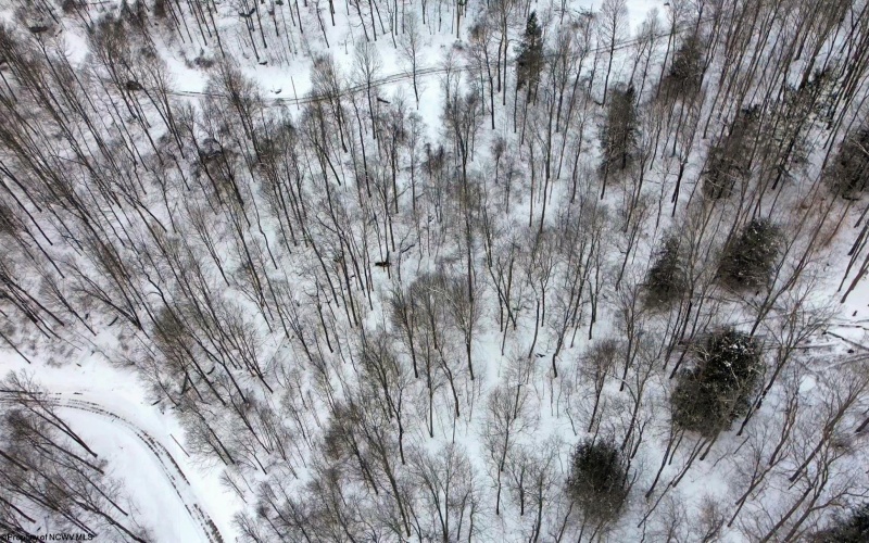 Lot 4 Trailwood Circle, Bruceton Mills, West Virginia 26525, ,Lots/land,For Sale,Trailwood,10163229