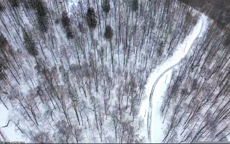 Lot 4 Trailwood Circle, Bruceton Mills, West Virginia 26525, ,Lots/land,For Sale,Trailwood,10163229