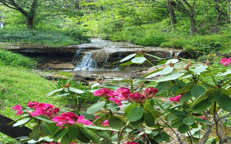 402 Nutter Run Road, Clarksburg, West Virginia 26301-4472, 3 Bedrooms Bedrooms, 6 Rooms Rooms,2 BathroomsBathrooms,Single Family Detached,For Sale,Nutter Run,10163228