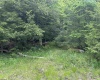 Lot 96 Gondola Court, Davis, West Virginia 26260, ,Lots/land,For Sale,Gondola,10154433 Lot 96 Gondola Court, Davis, West Virginia 26260, ,Lots/land,For Sale,Gondola,10154433