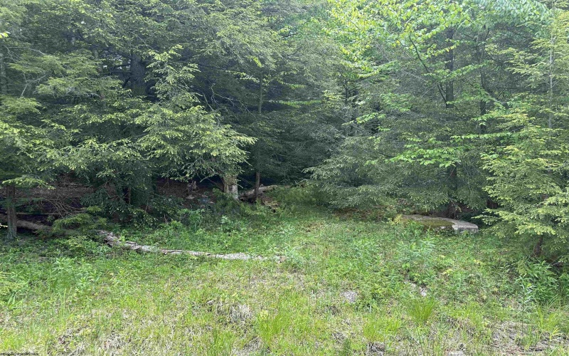 Lot 96 Gondola Court, Davis, West Virginia 26260, ,Lots/land,For Sale,Gondola,10154433 Lot 96 Gondola Court, Davis, West Virginia 26260, ,Lots/land,For Sale,Gondola,10154433