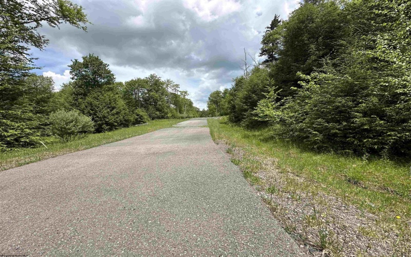 Lot 96 Gondola Court, Davis, West Virginia 26260, ,Lots/land,For Sale,Gondola,10154433 Lot 96 Gondola Court, Davis, West Virginia 26260, ,Lots/land,For Sale,Gondola,10154433