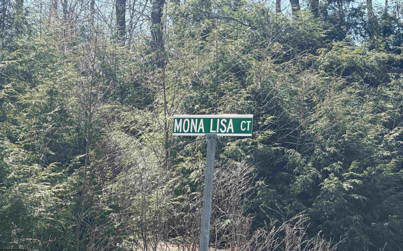 Lot 194 Florence Court, Davis, West Virginia 26260, ,Lots/land,For Sale,Florence,10159054