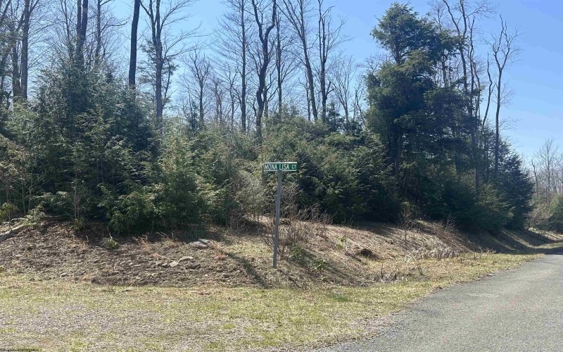 Lot 194 Florence Court, Davis, West Virginia 26260, ,Lots/land,For Sale,Florence,10159054