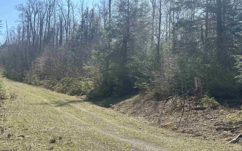 Lot 194 Florence Court, Davis, West Virginia 26260, ,Lots/land,For Sale,Florence,10159054
