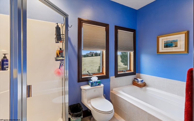 53 Park Drive, Davis, West Virginia 26260, 5 Bedrooms Bedrooms, 9 Rooms Rooms,4 BathroomsBathrooms,Single Family Detached,For Sale,Park,10163031