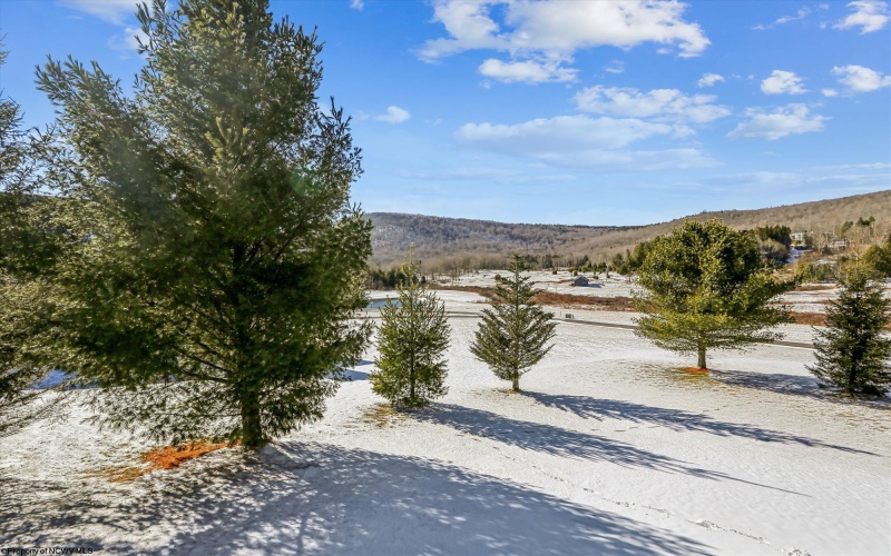 53 Park Drive, Davis, West Virginia 26260, 5 Bedrooms Bedrooms, 9 Rooms Rooms,4 BathroomsBathrooms,Single Family Detached,For Sale,Park,10163031