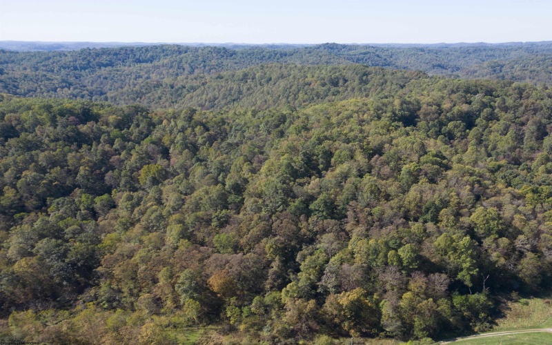 TBD FLAG RUN Road, Clarksburg, West Virginia 26301-9999, ,Lots/land,For Sale,FLAG RUN,10162328 TBD FLAG RUN Road, Clarksburg, West Virginia 26301-9999, ,Lots/land,For Sale,FLAG RUN,10162328