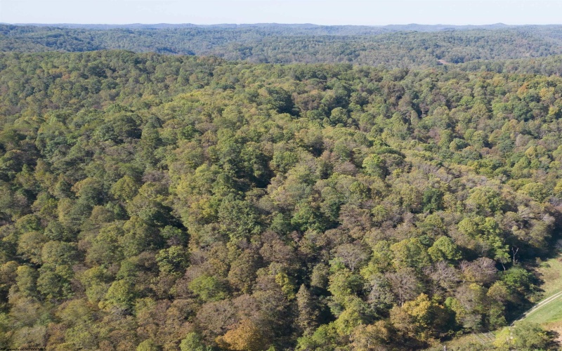 TBD FLAG RUN Road, Clarksburg, West Virginia 26301-9999, ,Lots/land,For Sale,FLAG RUN,10162328 TBD FLAG RUN Road, Clarksburg, West Virginia 26301-9999, ,Lots/land,For Sale,FLAG RUN,10162328