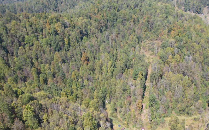 TBD FLAG RUN Road, Clarksburg, West Virginia 26301-9999, ,Lots/land,For Sale,FLAG RUN,10162328 TBD FLAG RUN Road, Clarksburg, West Virginia 26301-9999, ,Lots/land,For Sale,FLAG RUN,10162328