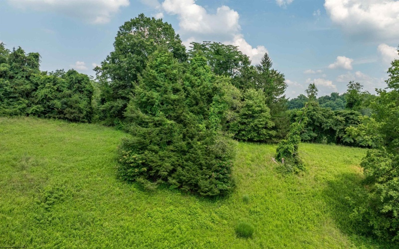 TBD Cleveland Avenue, Fairmont, West Virginia 26554, ,Lots/land,For Sale,Cleveland,10160712