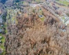 TBD Cleveland Avenue, Fairmont, West Virginia 26554, ,Lots/land,For Sale,Cleveland,10160712