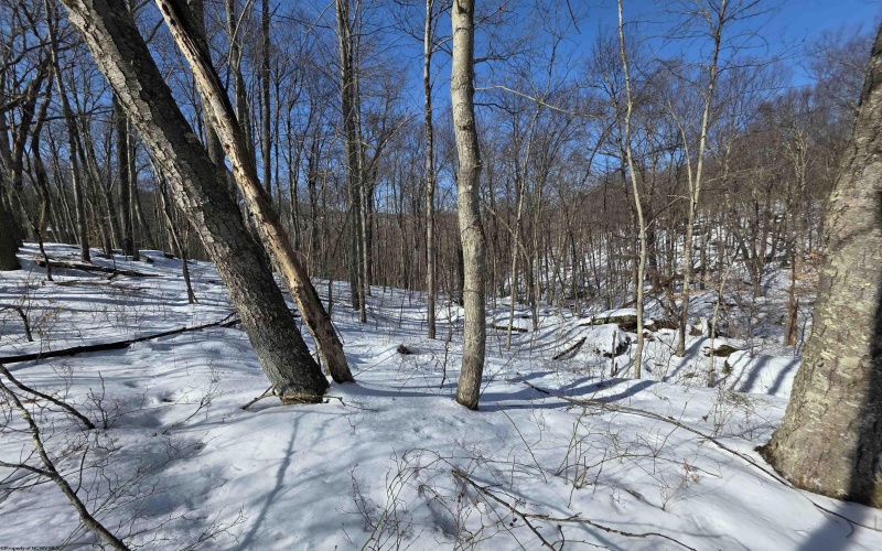 Lot 17, 18 &19 Poplar Drive, Grafton, West Virginia 26354, ,Lots/land,For Sale,Poplar,10163264 Lot 17, 18 &19 Poplar Drive, Grafton, West Virginia 26354, ,Lots/land,For Sale,Poplar,10163264