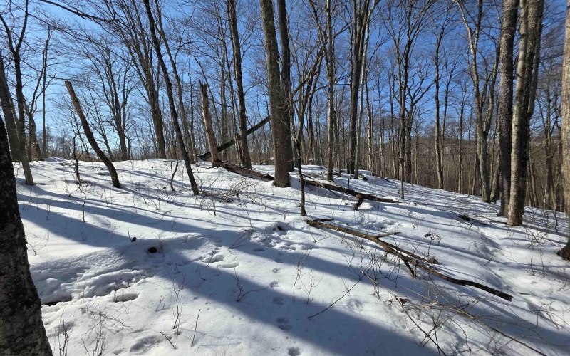 Lot 17, 18 &19 Poplar Drive, Grafton, West Virginia 26354, ,Lots/land,For Sale,Poplar,10163264 Lot 17, 18 &19 Poplar Drive, Grafton, West Virginia 26354, ,Lots/land,For Sale,Poplar,10163264